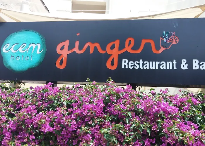 公寓式酒店 Ecem 马尔马里斯